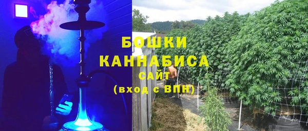 бошки Горняк